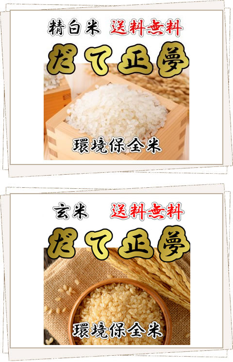 だて正夢